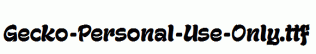 Gecko-Personal-Use-Only.ttf
