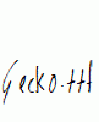 Gecko.ttf