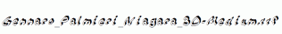 Gennaro_Palmieri_Niagara_3D-Medium.ttf