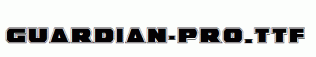 Guardian-Pro.ttf