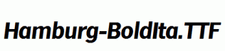 Hamburg-BoldIta.ttf
