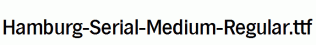 Hamburg-Serial-Medium-Regular.ttf