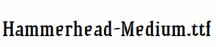 Hammerhead-Medium.ttf