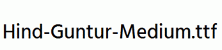 Hind-Guntur-Medium.ttf
