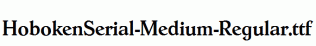 HobokenSerial-Medium-Regular.ttf
