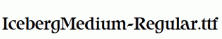 IcebergMedium-Regular.ttf