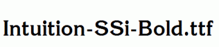 Intuition-SSi-Bold.ttf