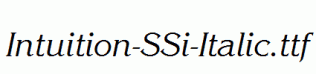 Intuition-SSi-Italic.ttf