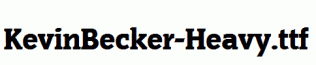 KevinBecker-Heavy.ttf