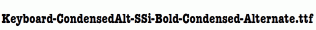Keyboard-CondensedAlt-SSi-Bold-Condensed-Alternate.ttf