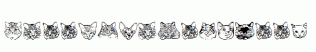 KittyPrint-AOE.ttf