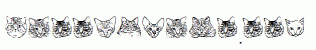 KittyPrint.ttf