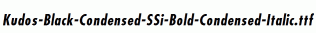 Kudos-Black-Condensed-SSi-Bold-Condensed-Italic.ttf