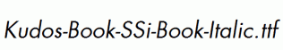Kudos-Book-SSi-Book-Italic.ttf