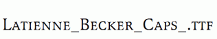 Latienne_Becker_Caps_.ttf