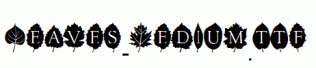 Leaves-Medium.ttf