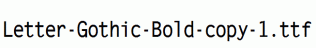 Letter-Gothic-Bold-copy-1.ttf