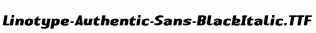 Linotype-Authentic-Sans-BlackItalic.ttf