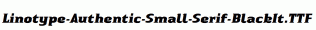 Linotype-Authentic-Small-Serif-BlackIt.ttf