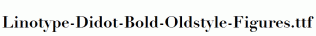 Linotype-Didot-Bold-Oldstyle-Figures.ttf
