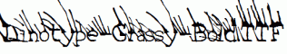 Linotype-Grassy-Bold.ttf