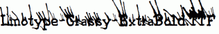 Linotype-Grassy-ExtraBold.ttf