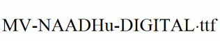 MV-NAADHu-DIGITAL.ttf
