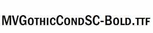 MVGothicCondSC-Bold.ttf