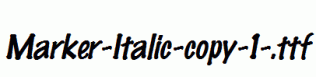 Marker-Italic-copy-1-.ttf
