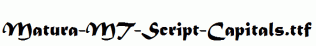 Matura-MT-Script-Capitals.ttf