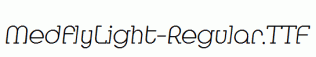 MedflyLight-Regular.ttf