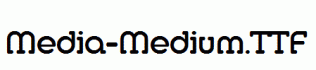Media-Medium.ttf