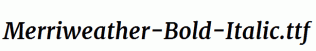 Merriweather-Bold-Italic.ttf