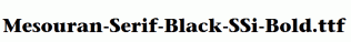 Mesouran-Serif-Black-SSi-Bold.ttf