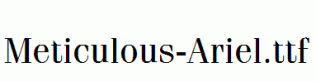 Meticulous-Ariel.ttf