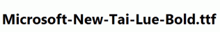 Microsoft-New-Tai-Lue-Bold.ttf