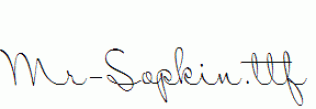 Mr-Sopkin.ttf