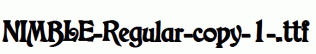 NIMBLE-Regular-copy-1-.ttf
