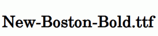 New-Boston-Bold.ttf