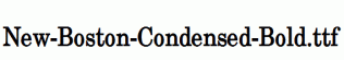 New-Boston-Condensed-Bold.ttf