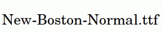 New-Boston-Normal.ttf