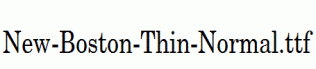 New-Boston-Thin-Normal.ttf