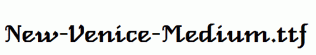 New-Venice-Medium.ttf