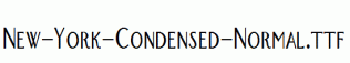 New-York-Condensed-Normal.ttf