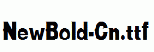 NewBold-Cn.ttf