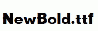 NewBold.ttf
