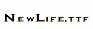 NewLife.ttf