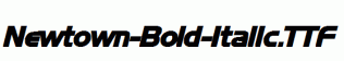 Newtown-Bold-Italic.ttf