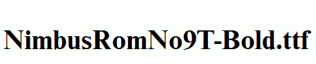 NimbusRomNo9T-Bold.ttf