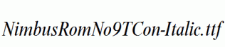 NimbusRomNo9TCon-Italic.ttf